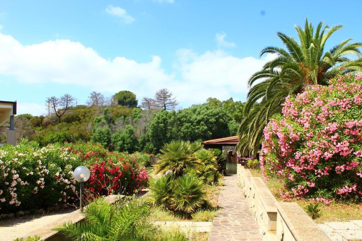 Residence Les Oliviers Porto Azzurro Zewnętrze zdjęcie